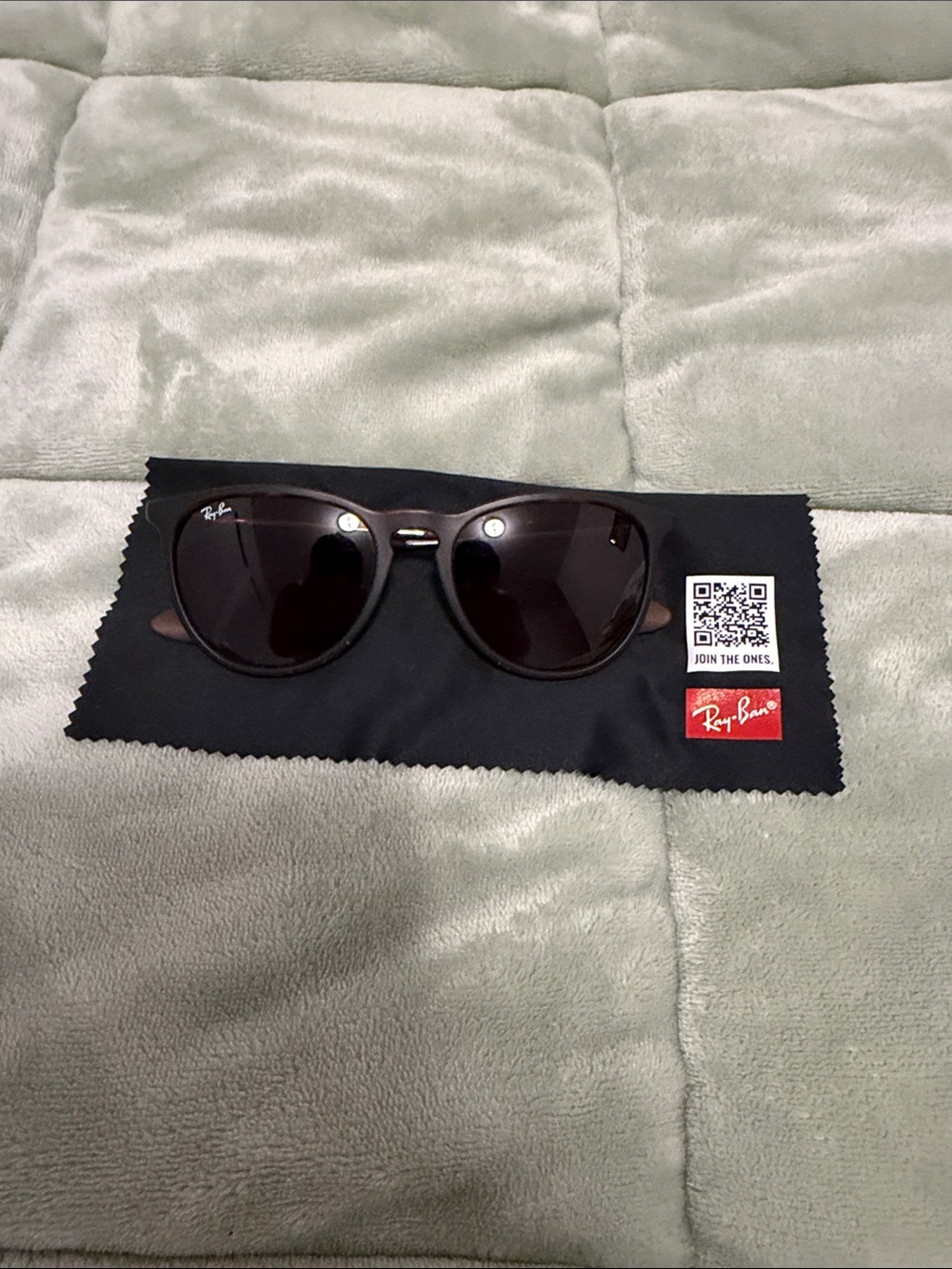 Ray Ban Erika brown sunglasses